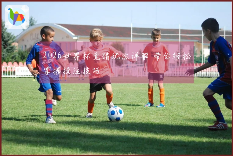 2026世界杯竞猜玩法详解 带你轻松掌握投注技巧