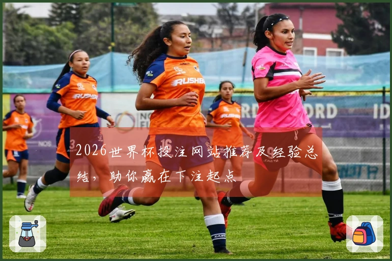 2026世界杯投注网站推荐及经验总结,助你赢在下注起点