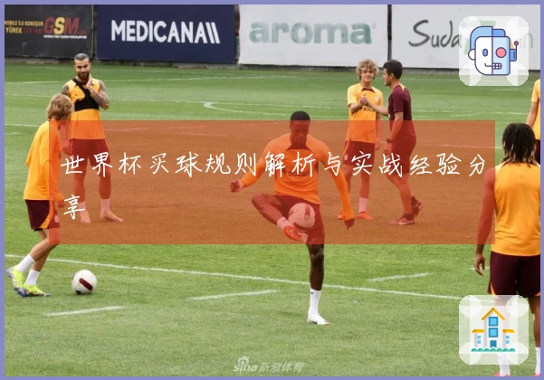世界杯买球规则解析与实战经验分享