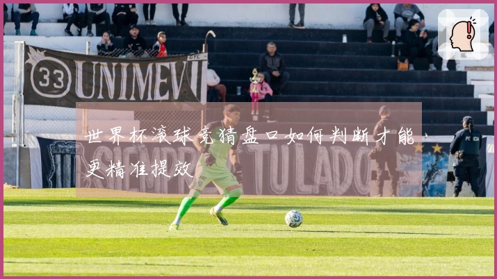 世界杯滚球竞猜盘口如何判断才能更精准提效